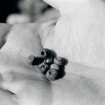 Amber Beads found under floor of skylight room  Photo by Marcia deVoe 1981